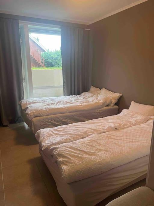 Appartement Fin Leilighet I Rolig Omrade I Trondheim à Hoiset Extérieur photo